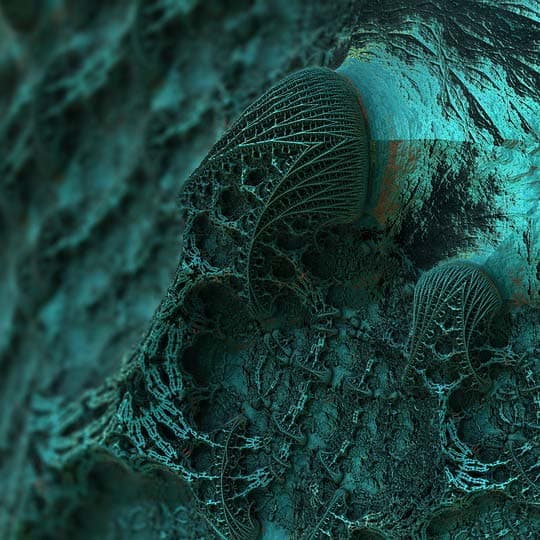 Abstract macro image of fungal spore structures, representing mould illness and stealth infections